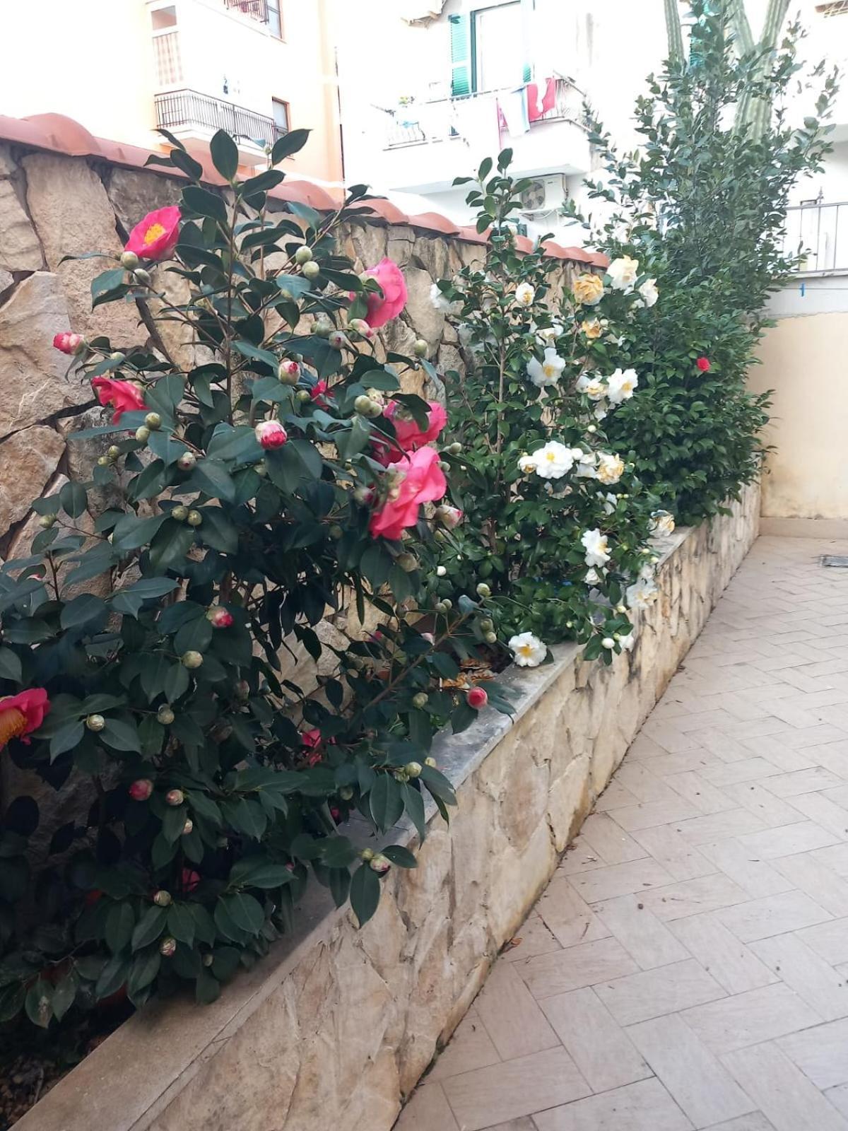 Ferienwohnung Domus Albanella Rom Exterior foto